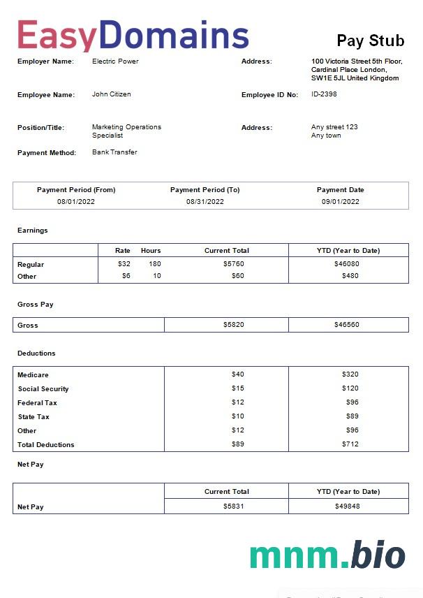 szablon payslip firmy rejestrującej nazwę domeny w formatach Word i PDf